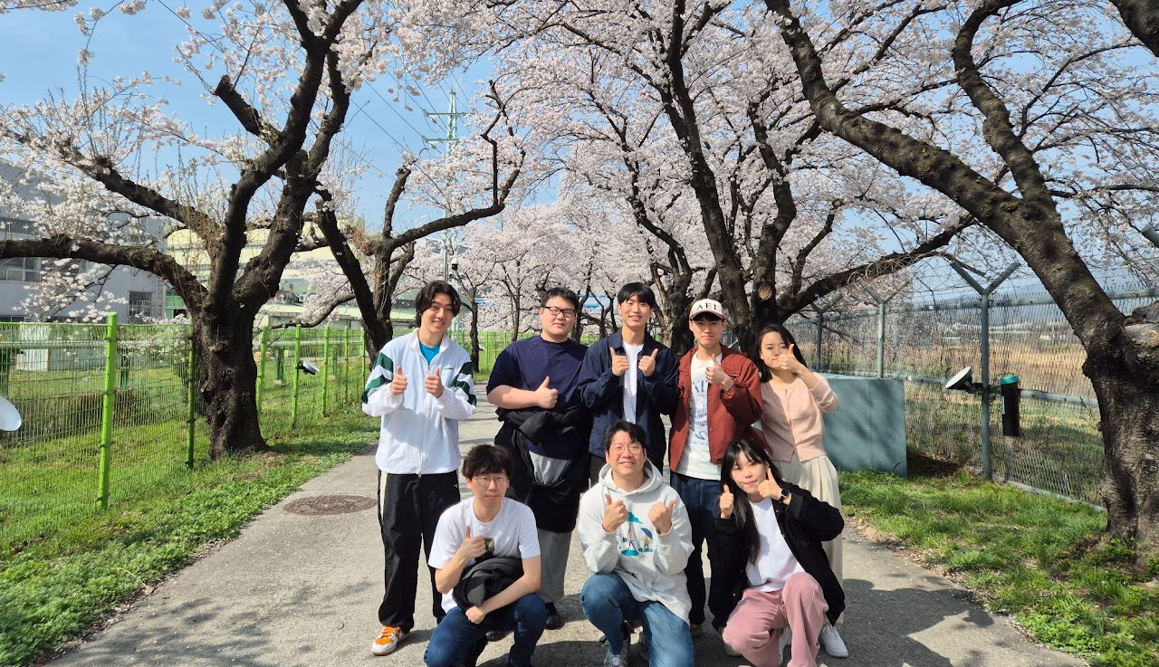Cherry Blossom 2026 